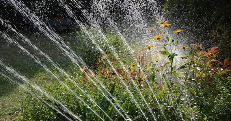 Pourquoi le goutte-à-goutte plutôt qu'un arrosage classique ?