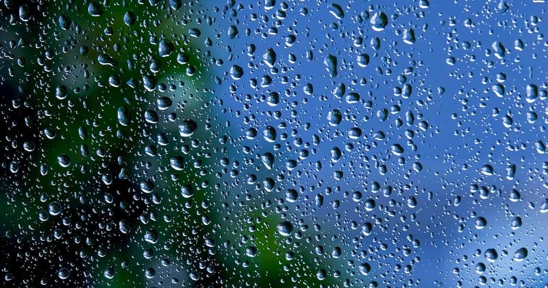 Installer un système d'irrigation goutte-à-goutte : le guide pas à pas