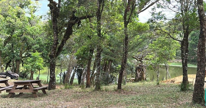 Quel camping calme choisir dans la Drôme en 2026 : le calme, et ce qu'il coûte vraiment
